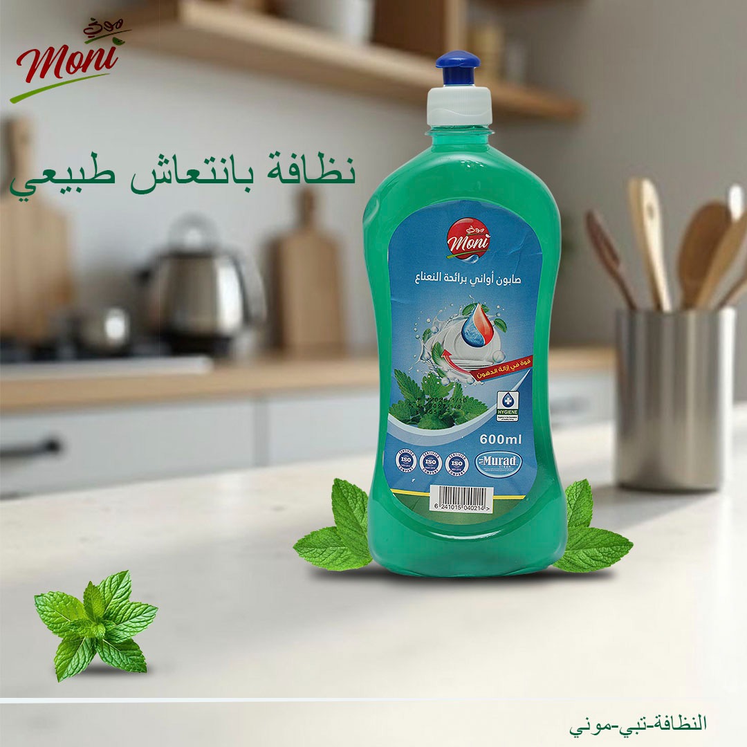 Dishwashing Liquid 600 ml